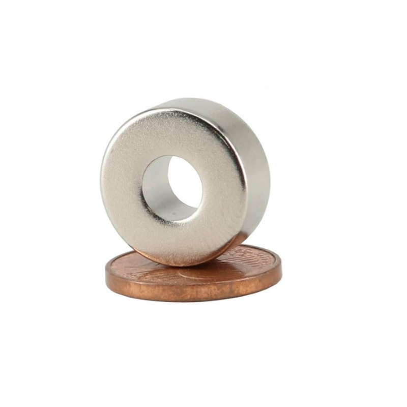 Dropshipping Neodymium Rare Earth Ring Magnet Supplier