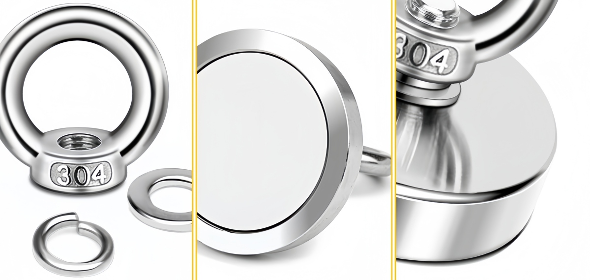 Durable stainles steel shell fish magnet Durable stainles steel shell fish magnet